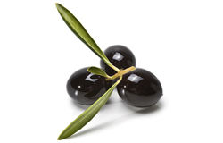 oliodigio 1