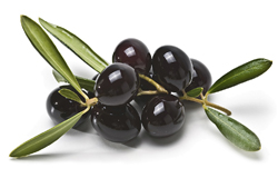 oliodigio 3